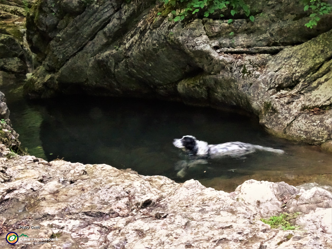 20 Nina inizia i suoi bagni cominciando dalle Tre pozze del torrente Giongo.JPG